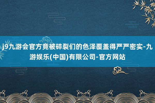 j9九游会官方竟被碎裂们的色泽覆盖得严严密实-九游娱乐(中国)有限公司-官方网站
