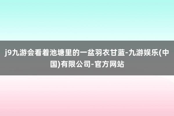 j9九游会看着池塘里的一盆羽衣甘蓝-九游娱乐(中国)有限公司-官方网站