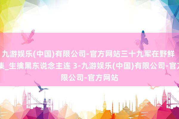 九游娱乐(中国)有限公司-官方网站三十九军在野鲜 第24集_生擒黑东说念主连 3-九游娱乐(中国)有限公司-官方网站