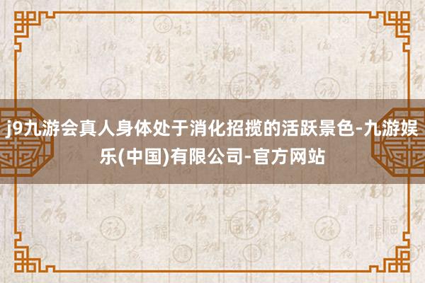 j9九游会真人身体处于消化招揽的活跃景色-九游娱乐(中国)有限公司-官方网站