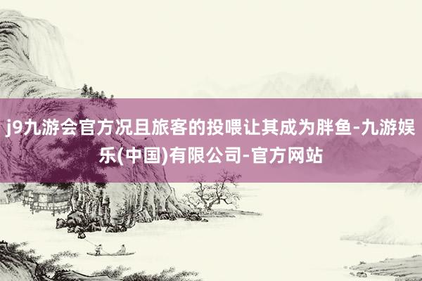 j9九游会官方况且旅客的投喂让其成为胖鱼-九游娱乐(中国)有限公司-官方网站