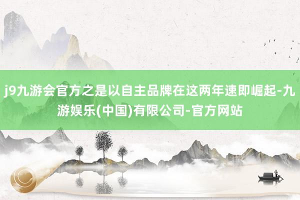 j9九游会官方之是以自主品牌在这两年速即崛起-九游娱乐(中国)有限公司-官方网站