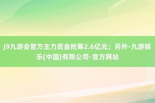 j9九游会官方主力资金抢筹2.6亿元；另外-九游娱乐(中国)有限公司-官方网站