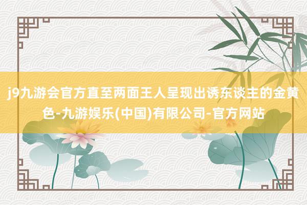 j9九游会官方直至两面王人呈现出诱东谈主的金黄色-九游娱乐(中国)有限公司-官方网站